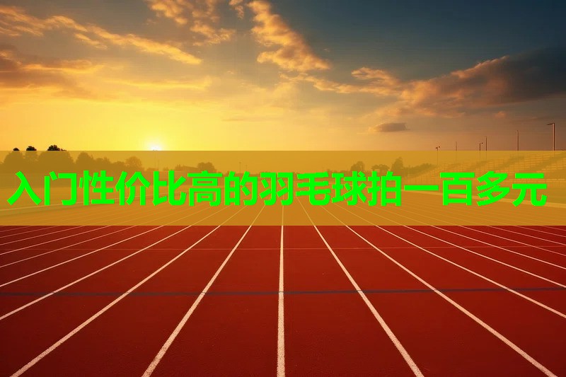 入门性价比高的羽毛球拍一百多元