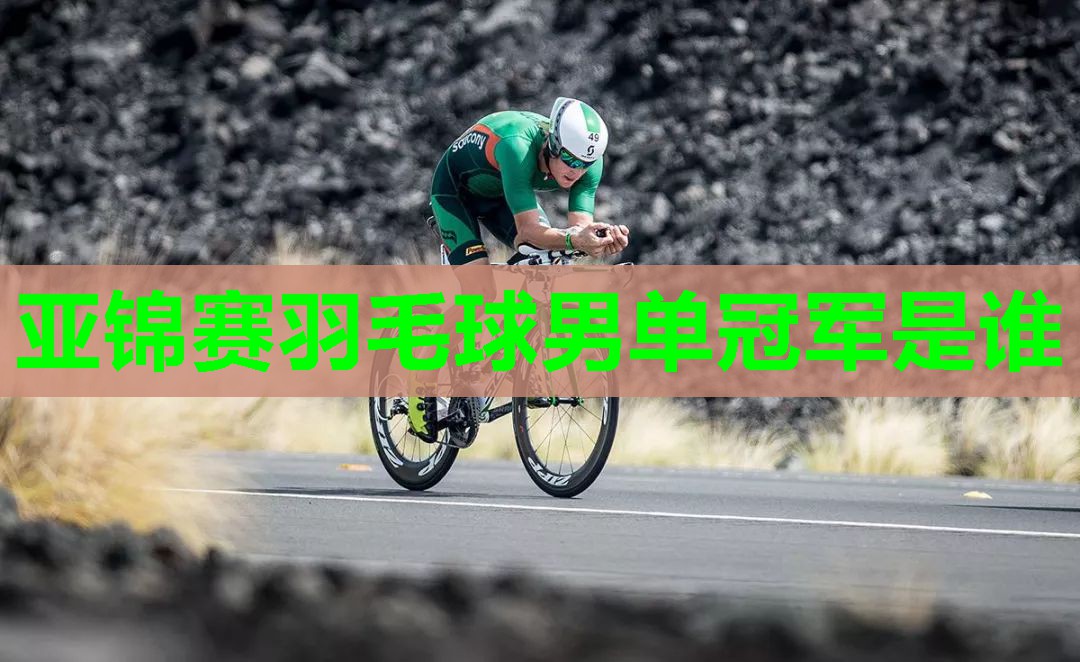 亚锦赛羽毛球男单冠军是谁 亚锦赛羽毛球男单冠军是谁