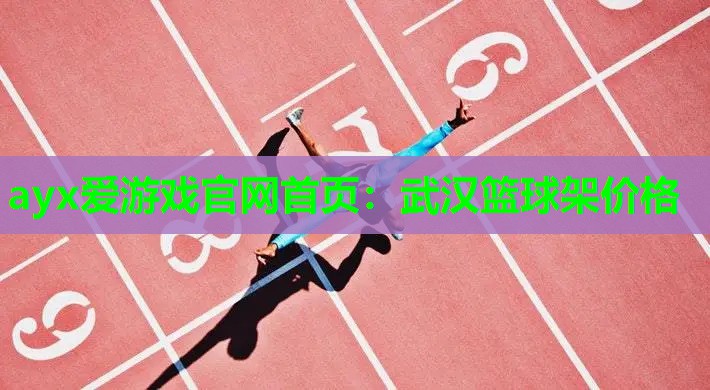 武汉篮球架价格 武汉篮球架价格