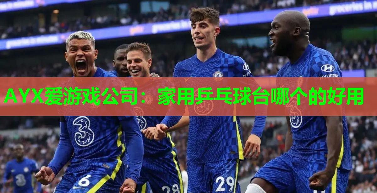 家用乒乓球台哪个的好用 家用乒乓球台哪个的好用