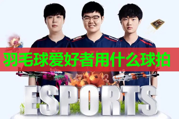 羽毛球爱好者用什么球拍 羽毛球爱好者用什么球拍
