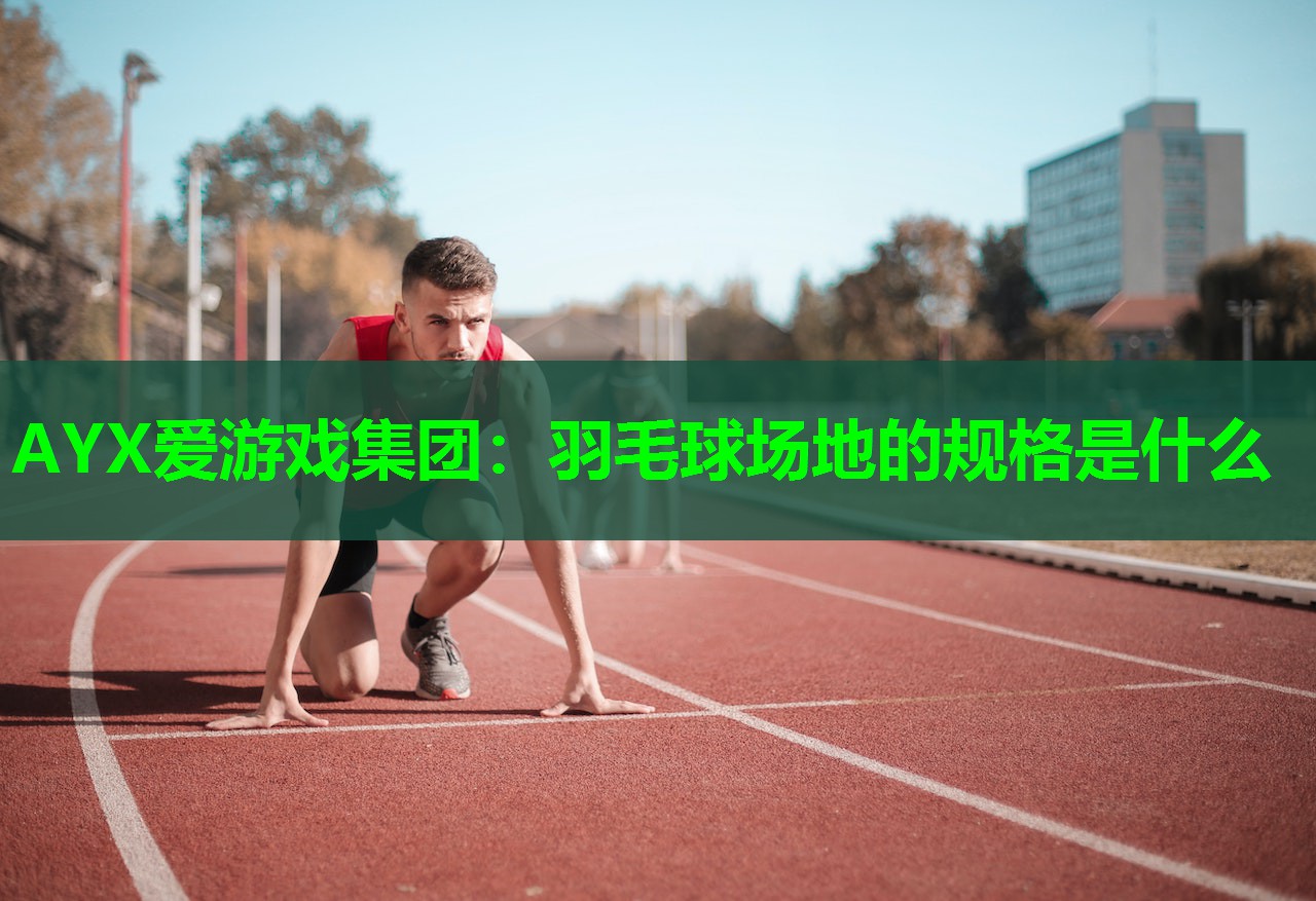 羽毛球场地的规格是什么 羽毛球场地的规格是什么