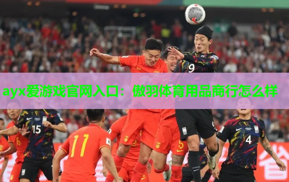 傲羽体育用品商行怎么样