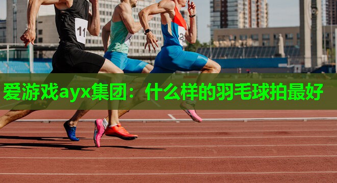 什么样的羽毛球拍最好 什么样的羽毛球拍最好