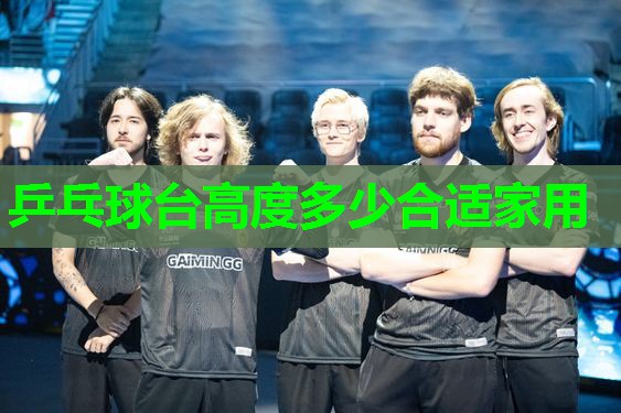 乒乓球台高度多少合适家用 乒乓球台高度多少合适家用