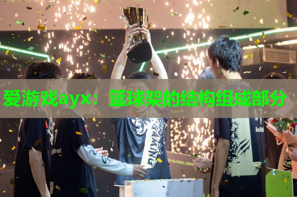 篮球架的结构组成部分 篮球架的结构组成部分