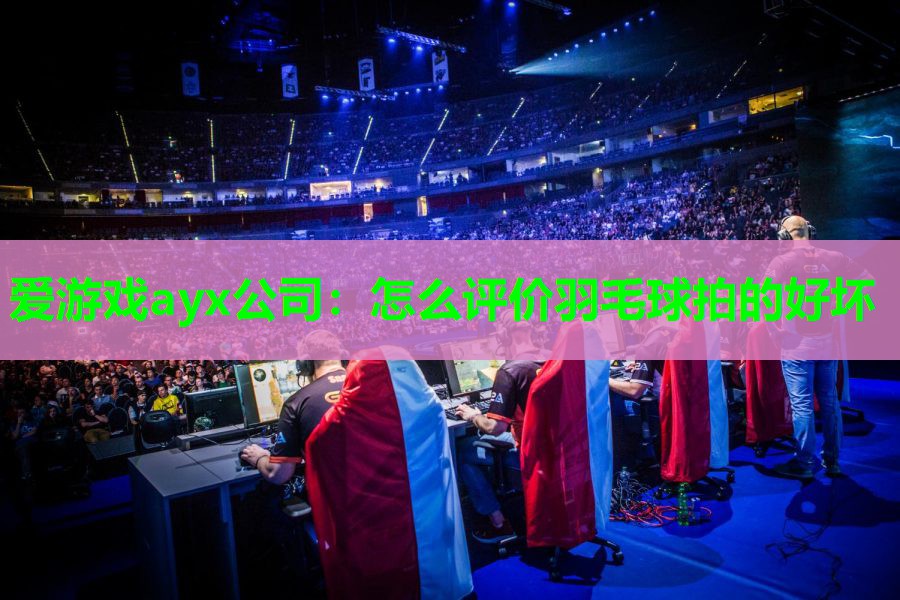 怎么评价羽毛球拍的好坏 怎么评价羽毛球拍的好坏