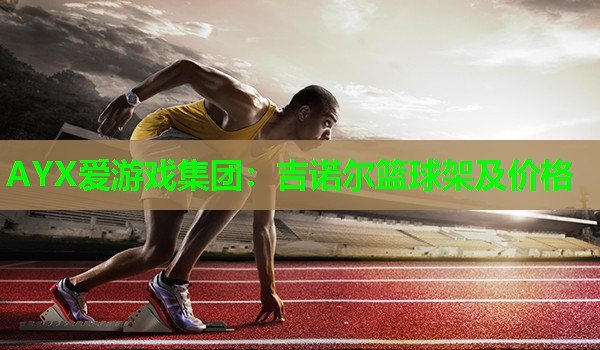 吉诺尔篮球架及价格 吉诺尔篮球架及价格