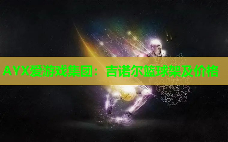吉诺尔篮球架及价格 吉诺尔篮球架及价格