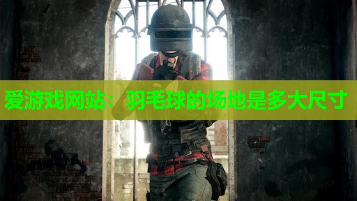 羽毛球的场地是多大尺寸 羽毛球的场地是多大尺寸