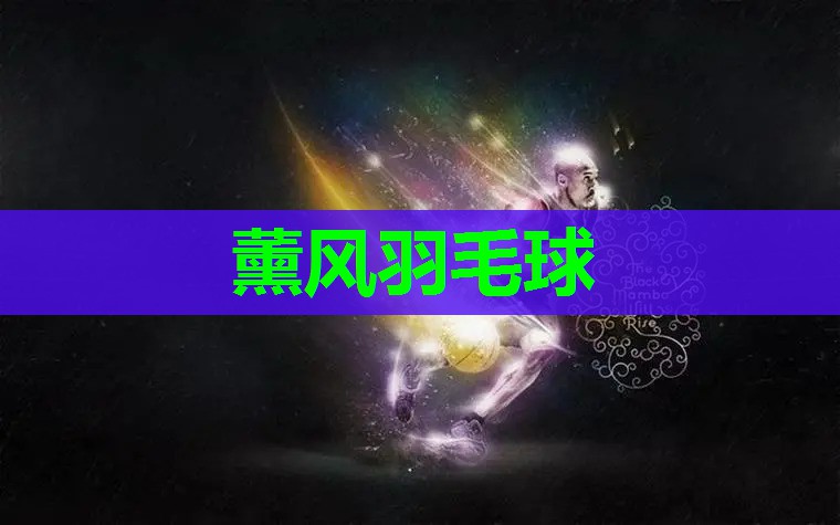 薰风羽毛球 薰风羽毛球