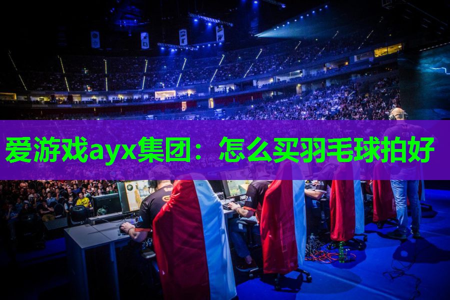 怎么买羽毛球拍好 怎么买羽毛球拍好