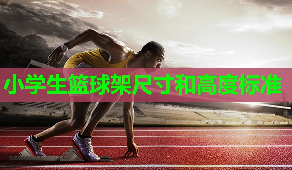 小学生篮球架尺寸和高度标准 小学生篮球架尺寸和高度标准