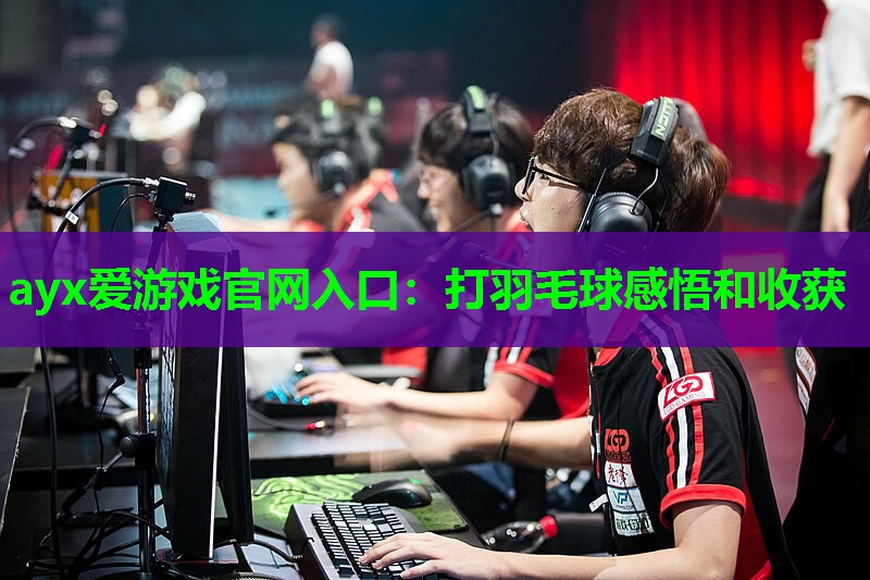 打羽毛球感悟和收获 打羽毛球感悟和收获
