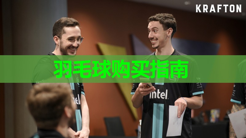 羽毛球购买指南 羽毛球购买指南