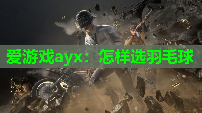 怎样选羽毛球 怎样选羽毛球