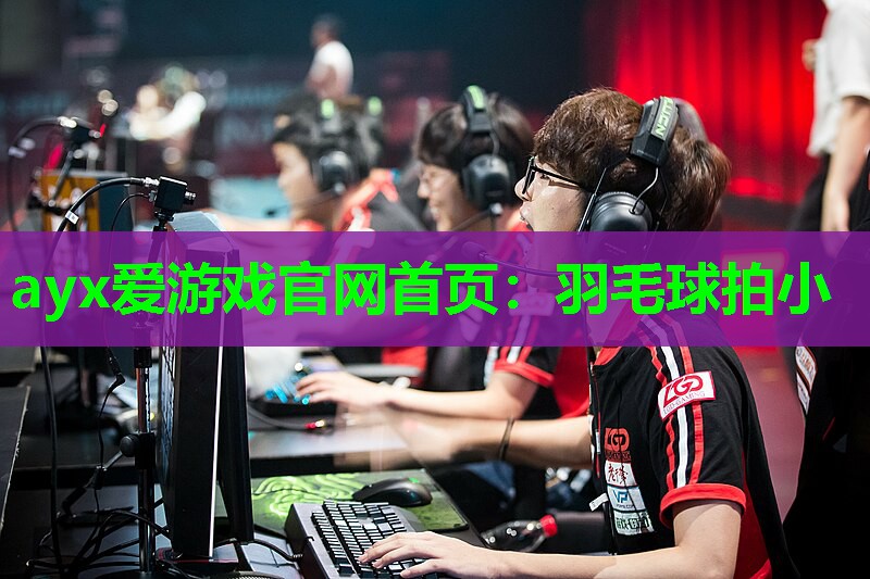 羽毛球拍小 羽毛球拍小