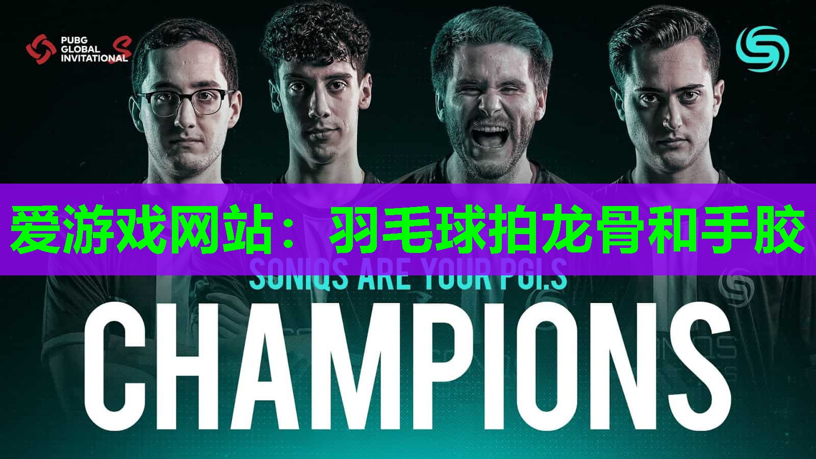 羽毛球拍龙骨和手胶 羽毛球拍龙骨和手胶