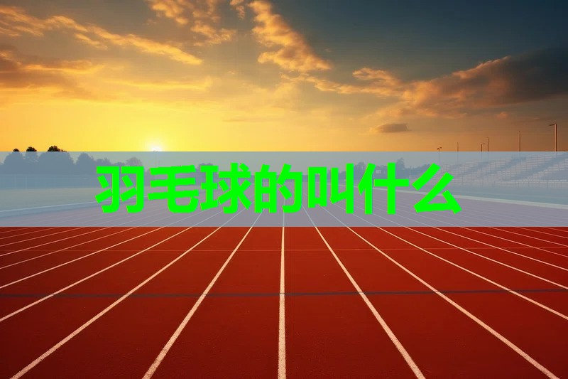 羽毛球的叫什么 羽毛球的叫什么
