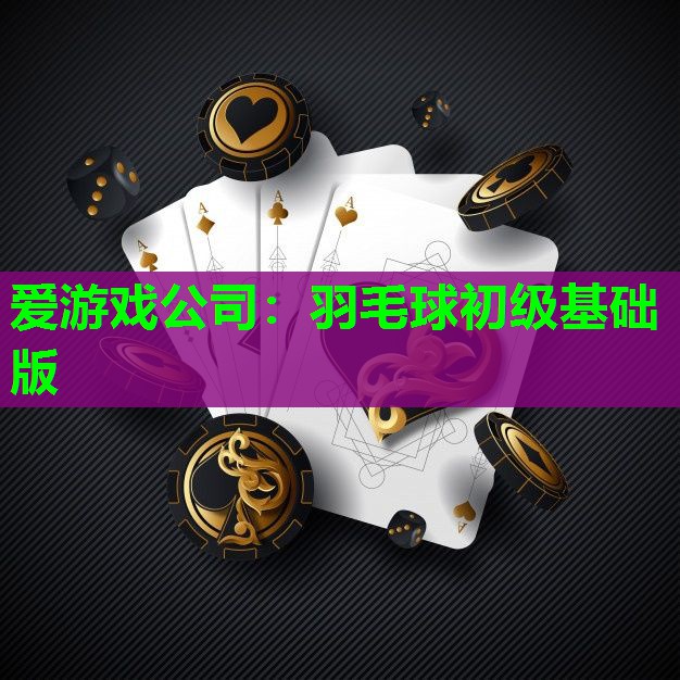 羽毛球初级基础版 羽毛球初级基础版