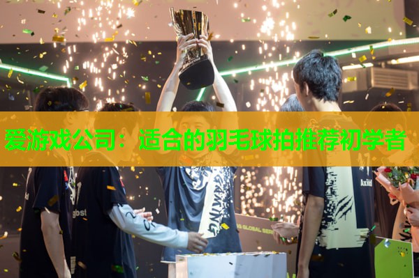 适合的羽毛球拍推荐初学者 适合的羽毛球拍推荐初学者