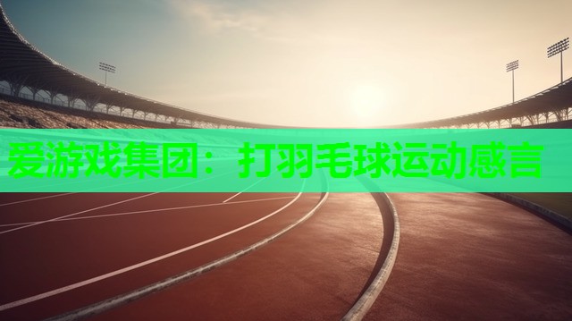 打羽毛球运动感言 打羽毛球运动感言
