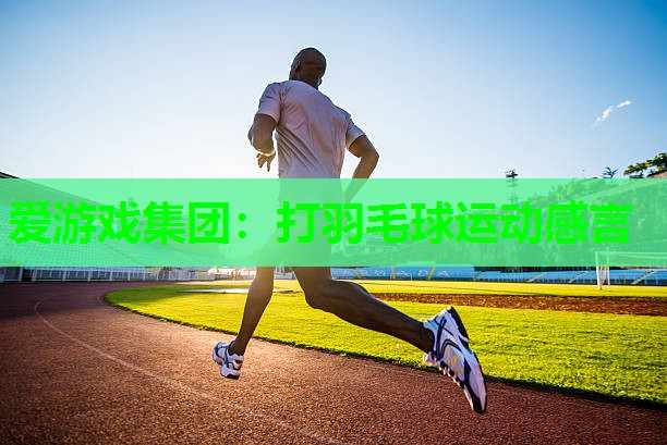 打羽毛球运动感言 打羽毛球运动感言