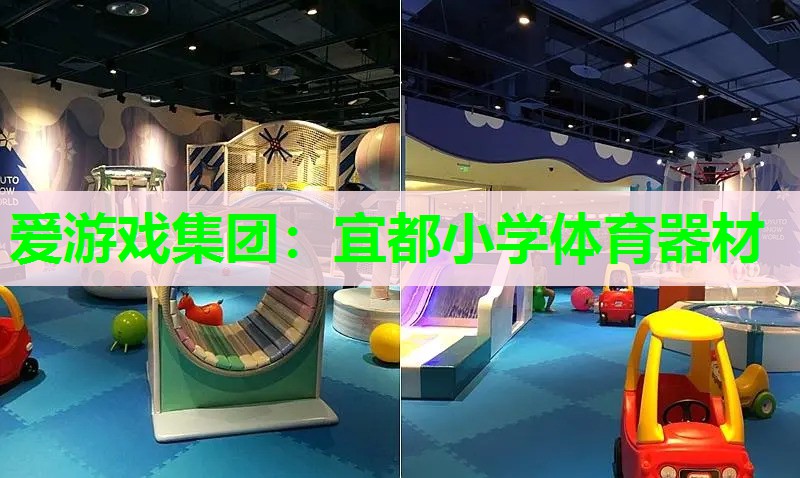 宜都小学体育器材 宜都小学体育器材