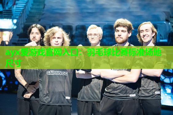 羽毛球比赛标准场地尺寸 羽毛球比赛标准场地尺寸