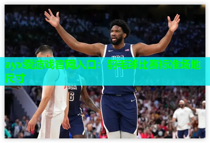 羽毛球比赛标准场地尺寸 羽毛球比赛标准场地尺寸