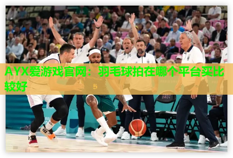 羽毛球拍在哪个平台买比较好 羽毛球拍在哪个平台买比较好