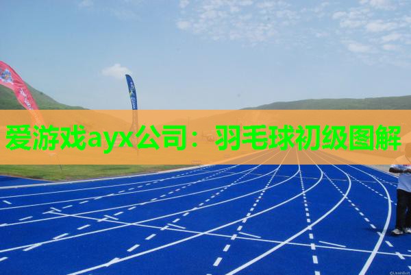 羽毛球初级图解 羽毛球初级图解